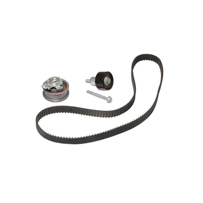 21SKV004 Zweck des Austauschs/Reparaturs von Motor Timing Chain Belt Kit für VW Audi 04E198119A