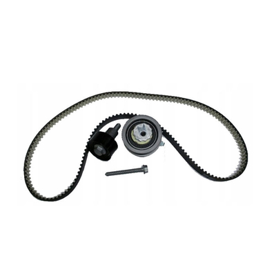 21SKV004 Zweck des Austauschs/Reparaturs von Motor Timing Chain Belt Kit für VW Audi 04E198119A