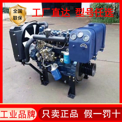 Blau/Schwarz Dieselmotoren für Schiffe, perfekt zum Ersetzen/Reparatur